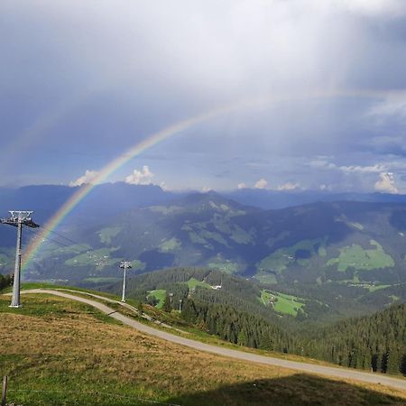 Berggasthof Schatzbergalm Thierbach エクステリア 写真