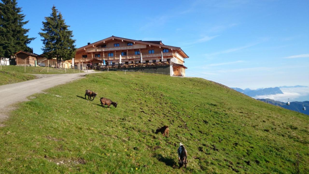 Berggasthof Schatzbergalm Thierbach エクステリア 写真