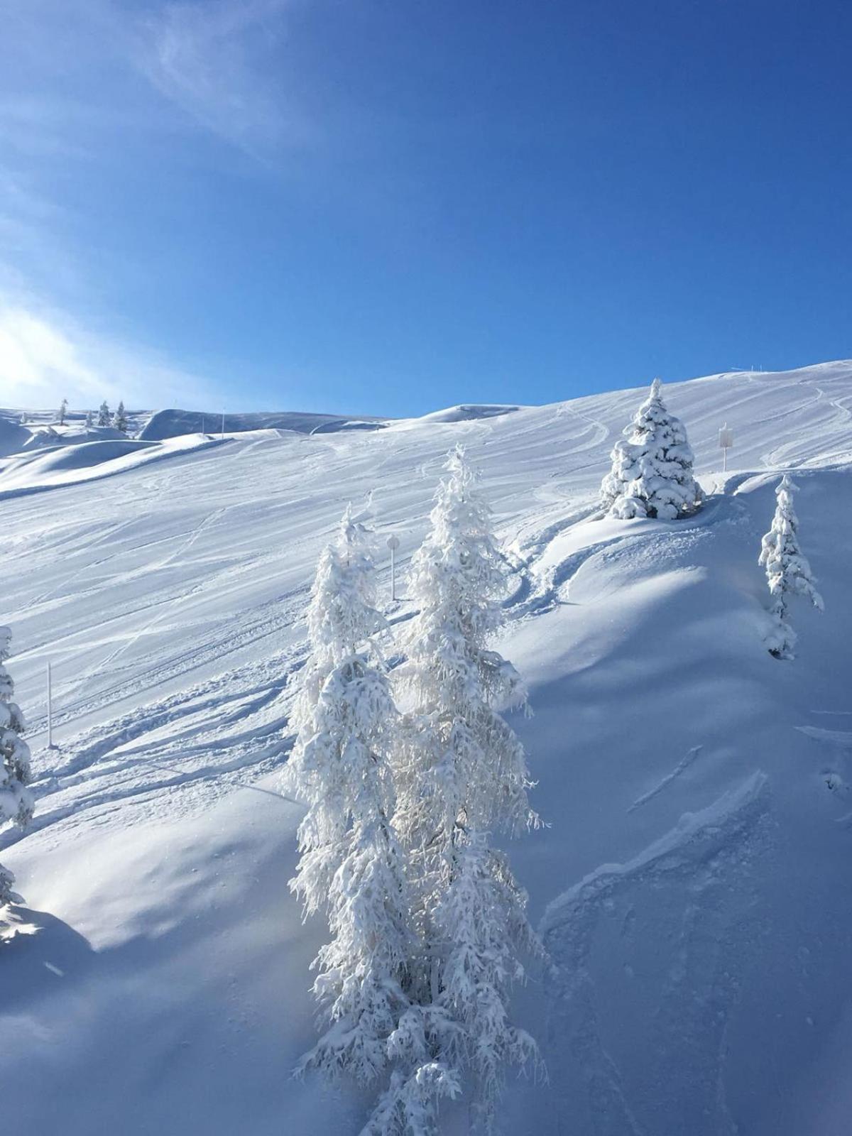 Berggasthof Schatzbergalm Thierbach エクステリア 写真
